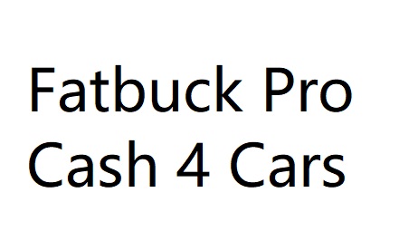 Fatbuck Pro Cash 4 Cars