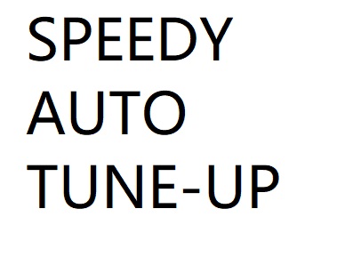 SPEEDY AUTO TUNE-UP